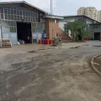 نیروی خط تولید کفش شهپر