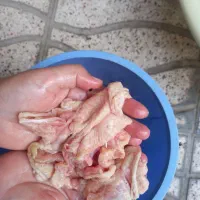 پوست بدون چربی برای حیوان