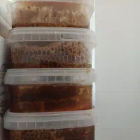 عسل طبیعی مایتی