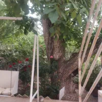 باغچه در بهترین منطقه و آب و هوا