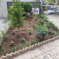 خدمات باغبانی کاشت گل باغچه کاری تعویض خاک هرس