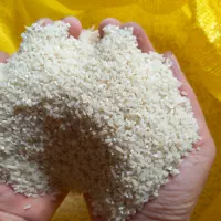 نیم دانه هاشمی و لاشه برنج هاشمی
