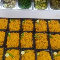 غذای شرکتی و پرسنلی