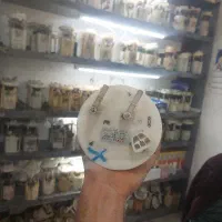 پمپ بنزین ریو اصلی