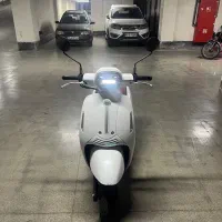 بنلی پاناروئا۱۴۰۴
