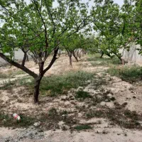 430-متر-باغچه-چهار-دیوار-سنددار-شهریار