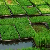 مواد مصرفی چلتوک