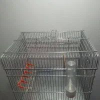 قفس