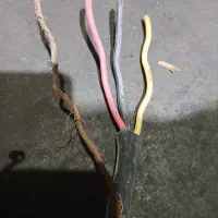 کابل برق کنتور سه فاز ۱۰ مفتولی