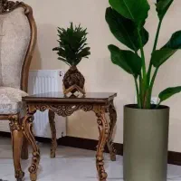 خدمات گیاهپزشکی و فضای سبز و تعویض گلدان