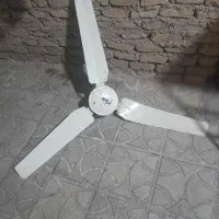 پنکه سقفی