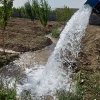 باغ-ویلا