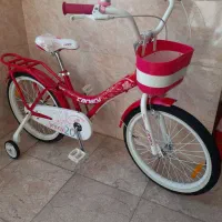 دوچرخه 20