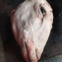 کله پاچه پاک کنی