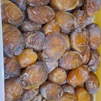 جشنواره رمضان عرضه رطب عسلی خشت درجه ۱