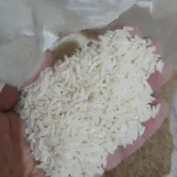 برنج طارم هاشمی خالص بشرط
