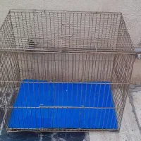 قفس پرنده