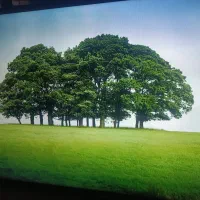 ال ای دی هوشمندال جی سه بعدی