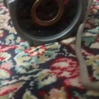 دوربین