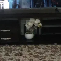 زیر تلویزیونی ان دی اف