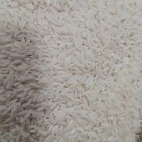 هاشمی برنج سورتینگ شده