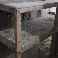 قفس مرغ یا پرنده ۳۰۰۰۰۰۰