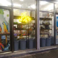 دامپزشکی و خوراک طیور و پت شاپ