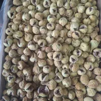انجیر استهبان