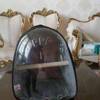 کوله پشتی برای حمل پرنده الی حیوانات خانگی دیگر