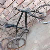 تنه دوچرخه ۱۶