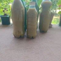 آبغوره