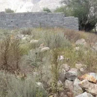املاک-زمین