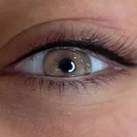 آرایش دائم فاطمه شاکریان و ریمور درکاشمر