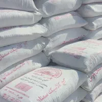 گچ میکرونیزه پارس کلاسیک سمنان