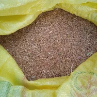 فروش گندم