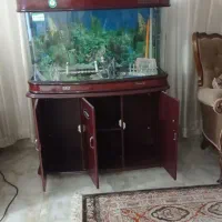 آکواریوم کمدی