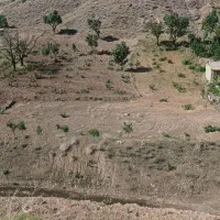 زمین فروشی (مناسب برای خانه باغ)