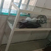 ویترین دو  متری
