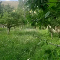 زمین درفشم گرمابدر