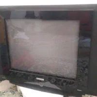 تلوزیون