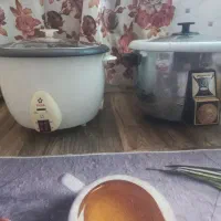 برقی|سایر لوازم برقی|کلاچای, |دیوار