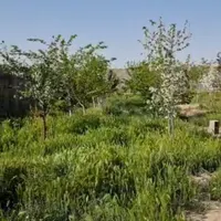 باغ 1300متری در باغستان گوهر هشتم|فروش خانه و ویلا|مشهد, کارمندان دوم|دیوار