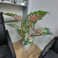 گل مصنوعی
