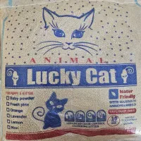 خاک بستر گربه
