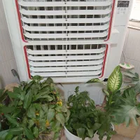 کولر آبی ایستاده