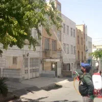 سم پاشی باغ باغچه منزل هرس وغیرتضمین سراسرکرج حومه