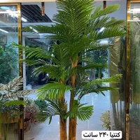 درخت کنتیا مصنوعی