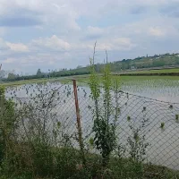 زمین کشاورزی