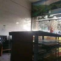 استخدام نیروی کار/بورسی/مشاوراملاک/بازاریاب