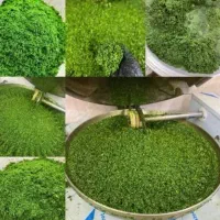 سبزی قورمه